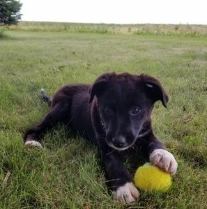 Meet your Posher, Sabrina